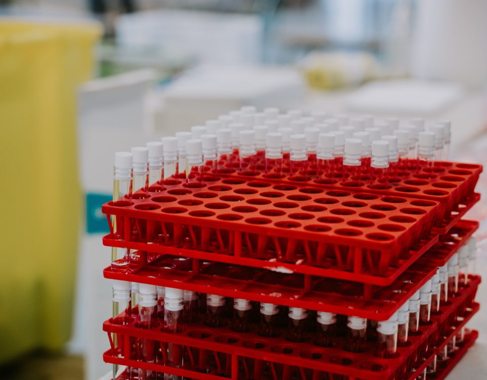 autorisation de mise sur le marché vaccin