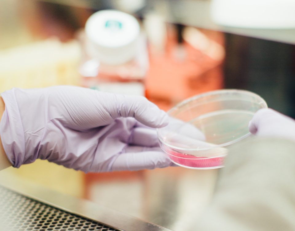 mise sur le marché dispositif médical