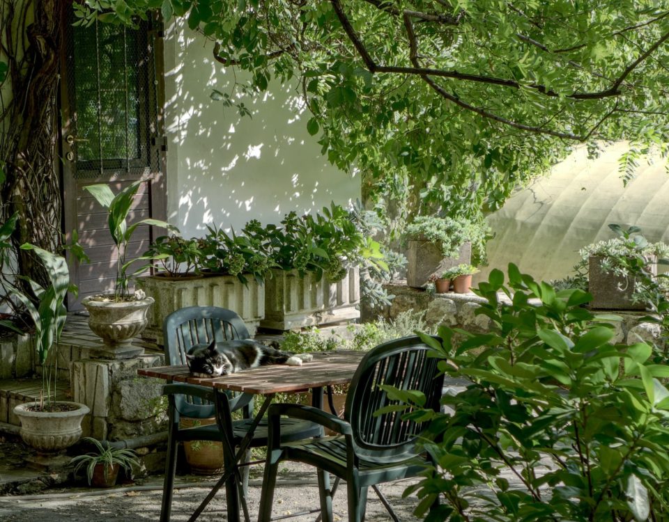 Jouissance exclusive